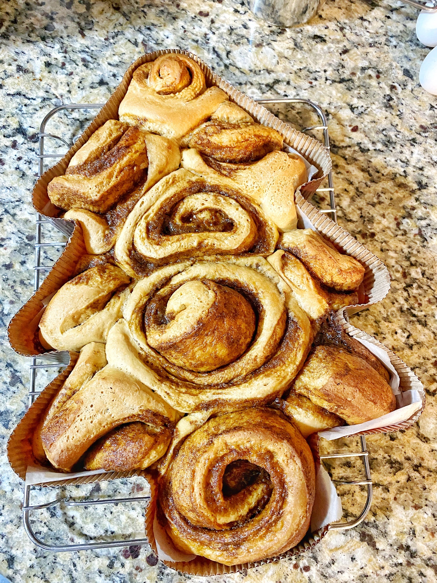 Christmas Tree Cinny Roll Six Pack