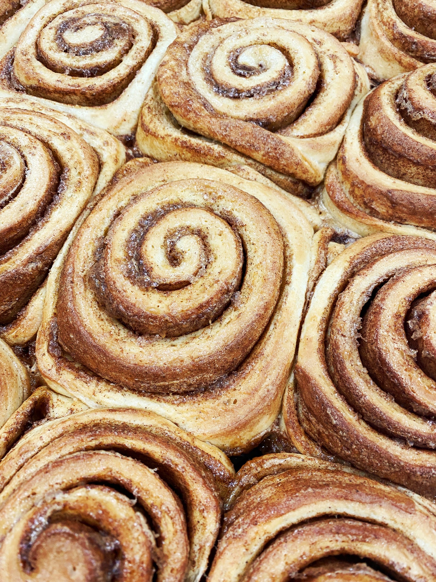 Classic Cinnamon Rolls - Box of 6