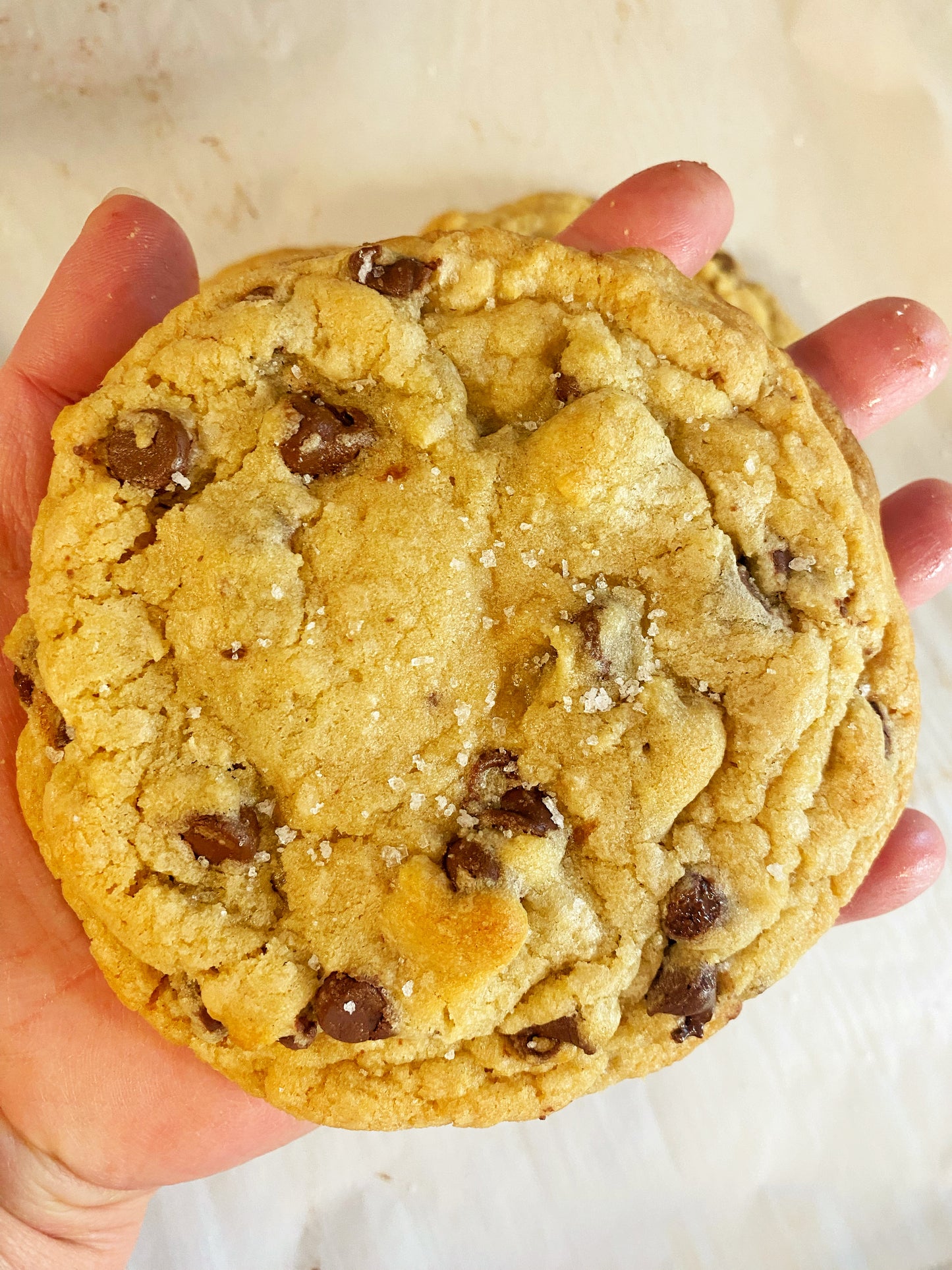 BGP Signature Chocolate Chip Cookies  Saturday, June 28th Pick Up 12:00 Noon