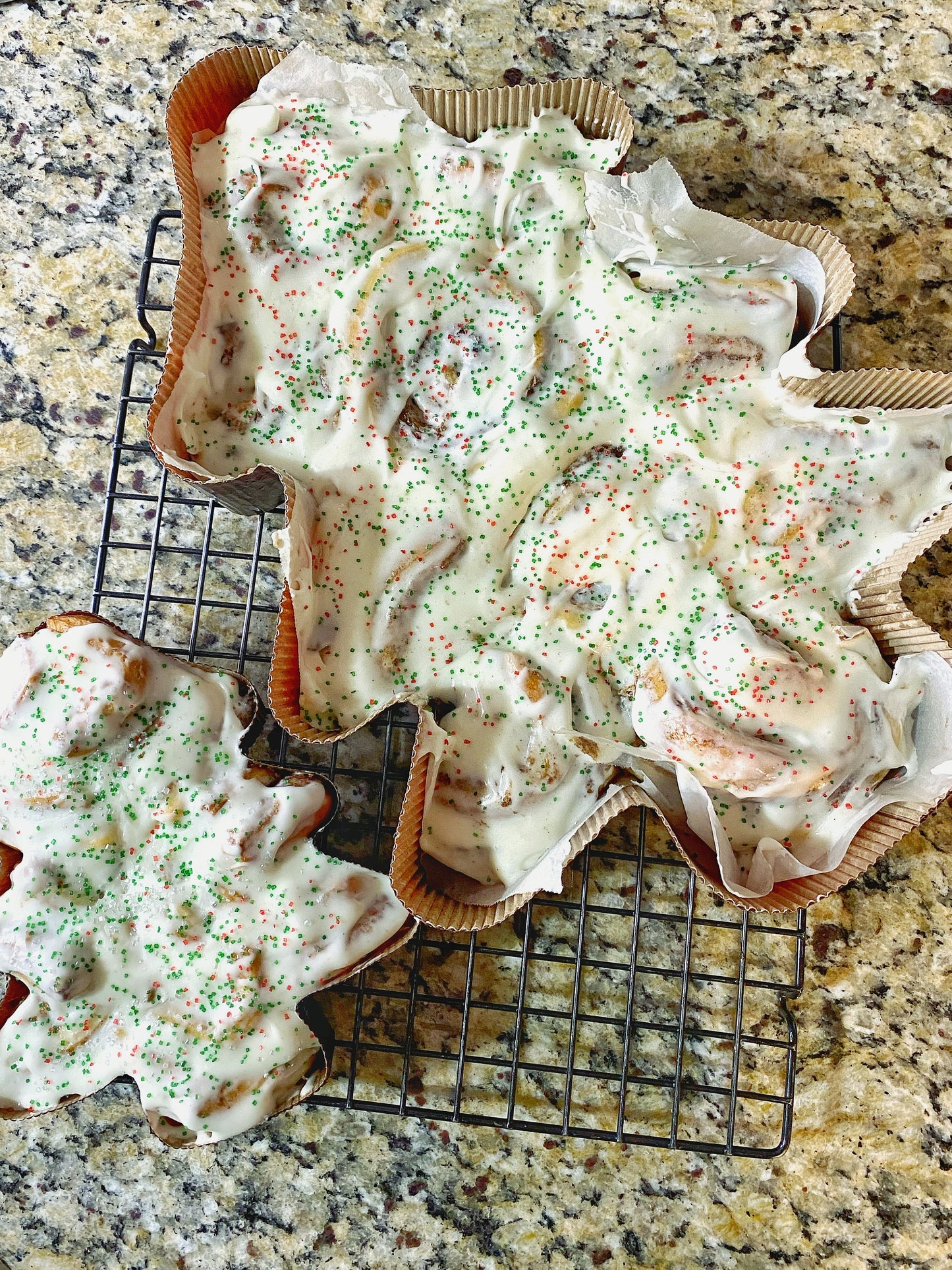 Christmas Tree Cinny Roll Six Pack