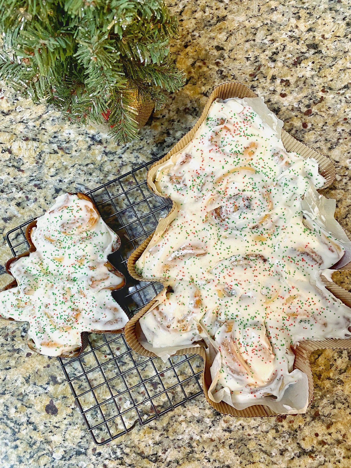 Christmas Tree Cinny Roll Six Pack